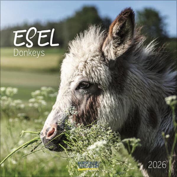 Esel 2026