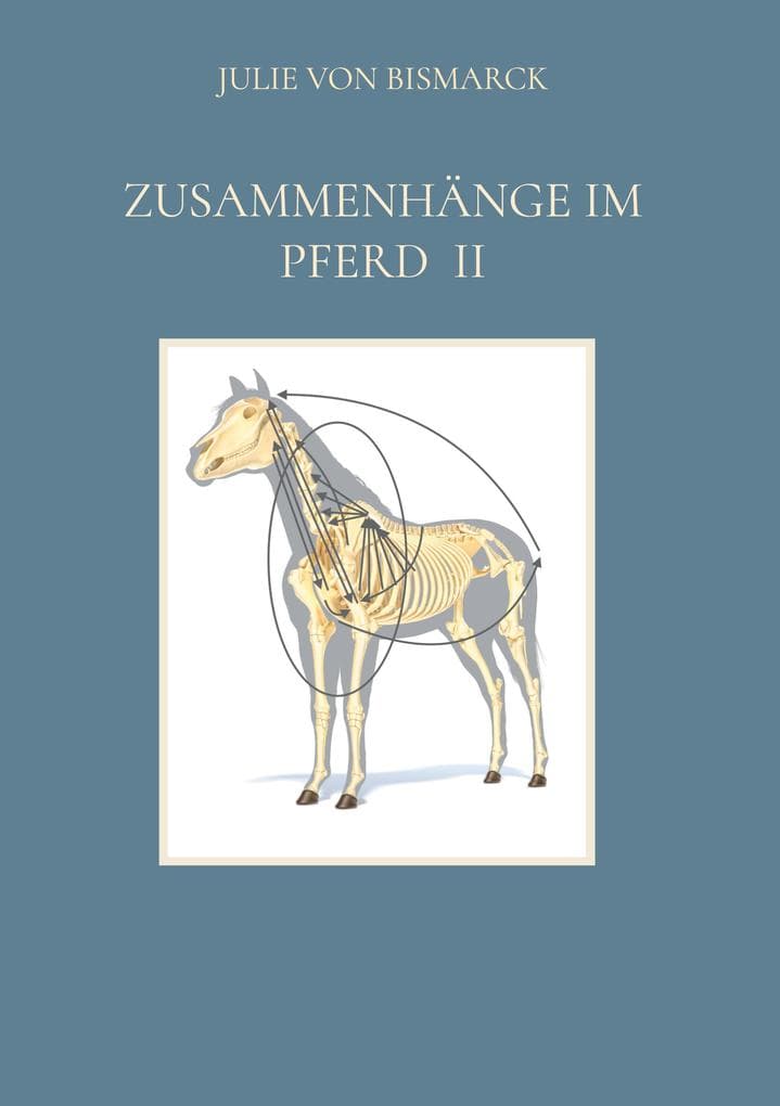 Zusammenhänge im Pferd II