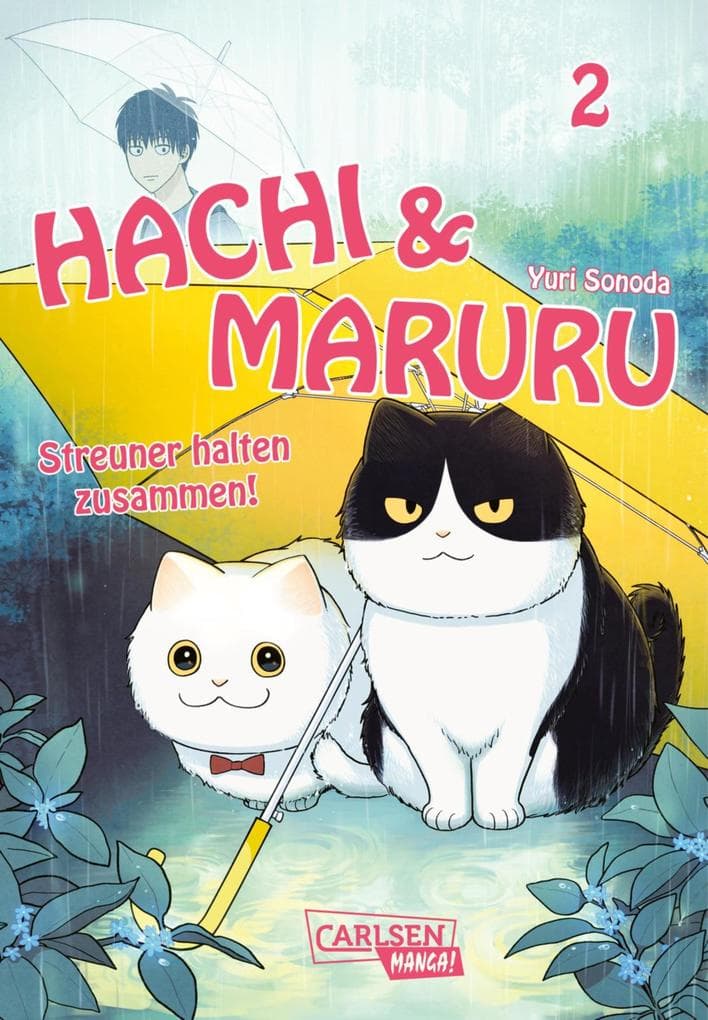 Hachi & Maruru - Streuner halten zusammen! 2