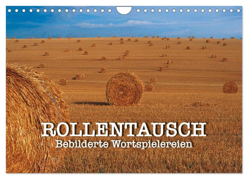 Rollentausch - Bebilderte Wortspielereien (Wandkalender 2026 DIN A4 quer), CALVENDO Monatskalender