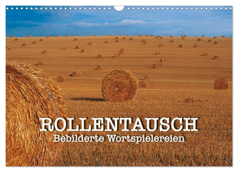Rollentausch - Bebilderte Wortspielereien (Wandkalender 2026 DIN A3 quer), CALVENDO Monatskalender