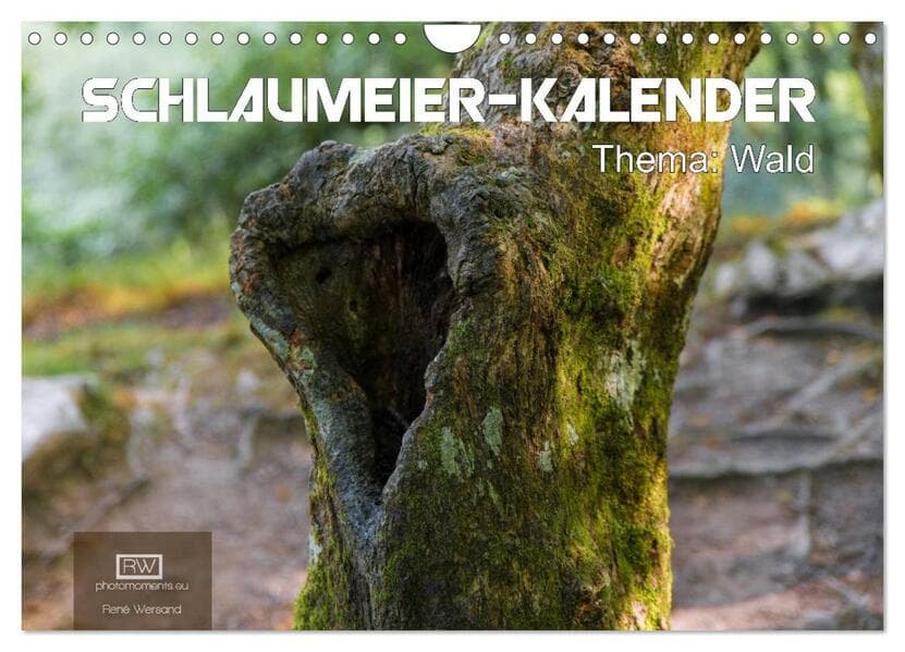 Schlaumeier-Kalender - Thema: Wald (Wandkalender 2026 DIN A4 quer), CALVENDO Monatskalender