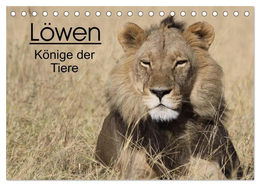 Löwen - Könige der Tiere (Tischkalender 2026 DIN A5 quer), CALVENDO Monatskalender