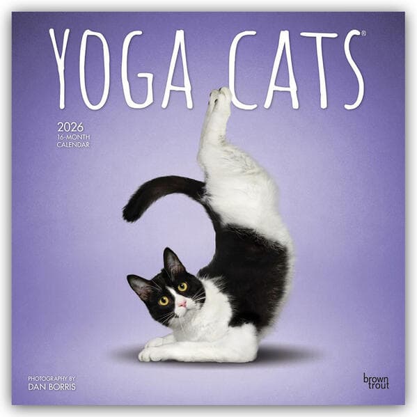 Yoga Cats - Katzen Yoga 2026 - 16-Monatskalender