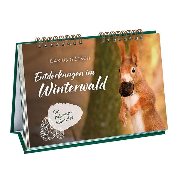 Entdeckungen im Winterwald