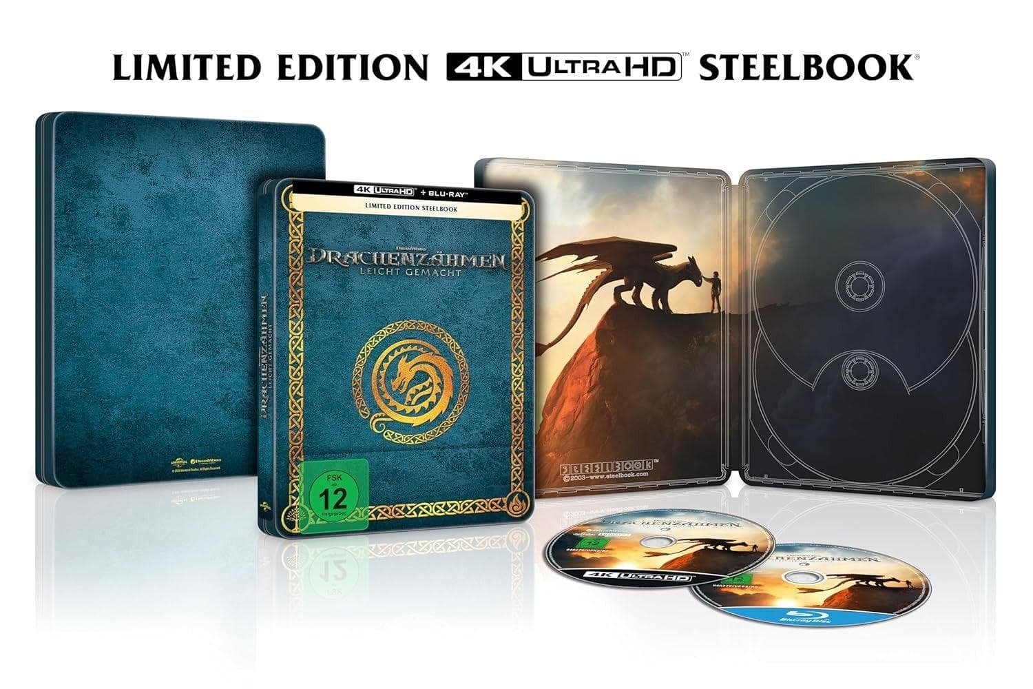 Drachenzähmen leicht gemacht