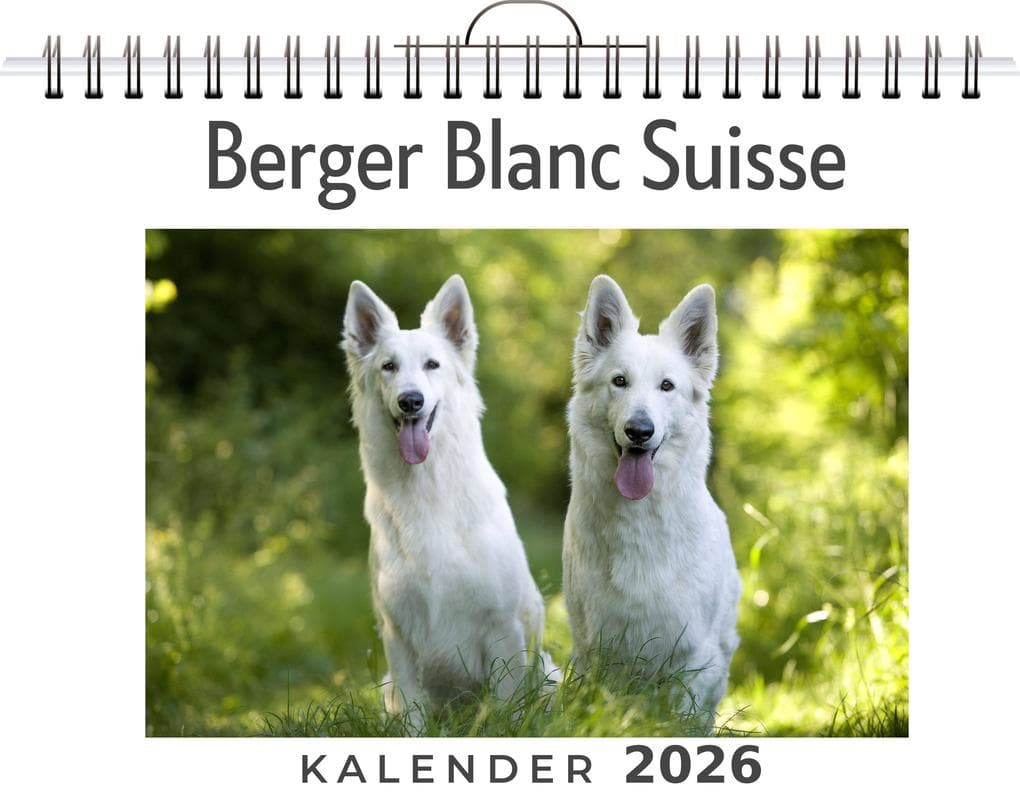 Berger Blanc Suisse