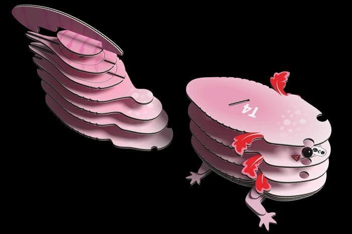 EUGY - 3D Bastelset Axolotl